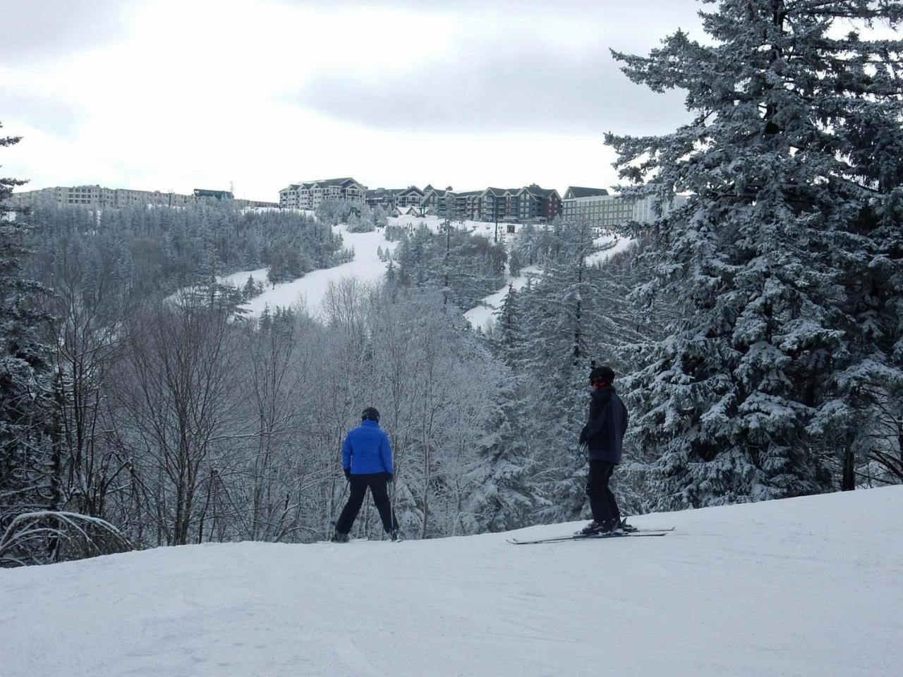 Loggers Run #8 Snowshoe Exterior photo